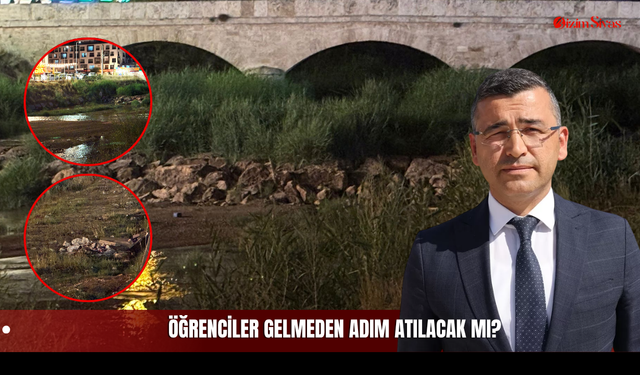Sazlıklar, Çöpler ve Dayanılmaz Koku! Sivas'ın Kalbindeki Tarihi Doku Neden Temizlenmiyor?