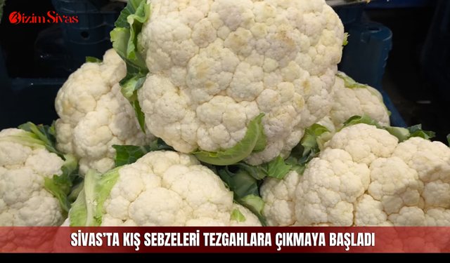 Sivas’ta kış sebzeleri tezgahlara çıkmaya başladı