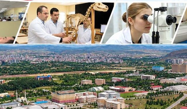 Sivas'ta o üniversite hibelerde yüzde 10'da
