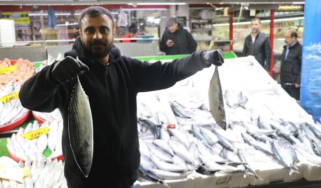 Palamut bolluğu Sivas’a da yansıdı, tanesi 100 TL’den satılıyor