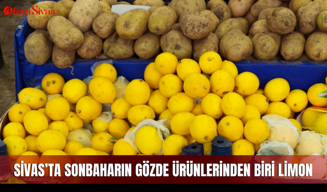 Sivas’ta sonbaharın gözde ürünlerinden biri limon
