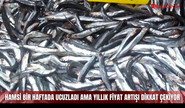 Hamsi bir haftada ucuzladı ama yıllık fiyat artışı dikkat çekiyor