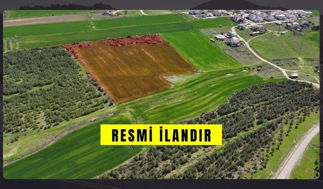 İLAN ZARA KAYMAKAMLIĞI MİLLİ EMLAK ŞEFLİĞİNDEN İRTİFAK HAKKI TESİS EDİLECEK TAŞINMAZ