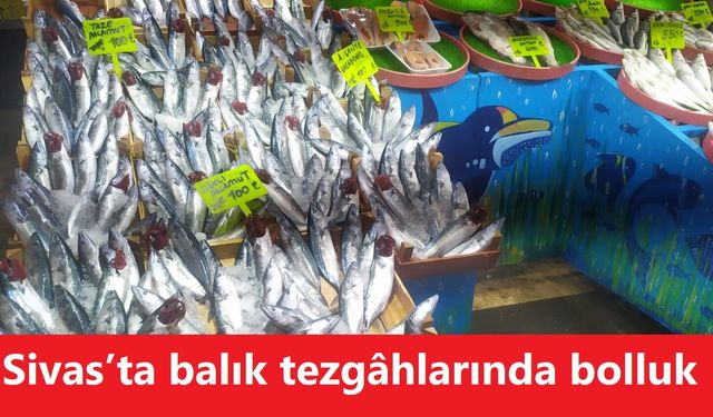 Sivas’ta balık tezgâhlarında bolluk: Palamut 100 TL’den satılıyor
