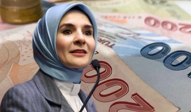 Şubat Müjdesi Geldi 9,7 Milyar TL’lik Zamlı Ödemeler Başladı!