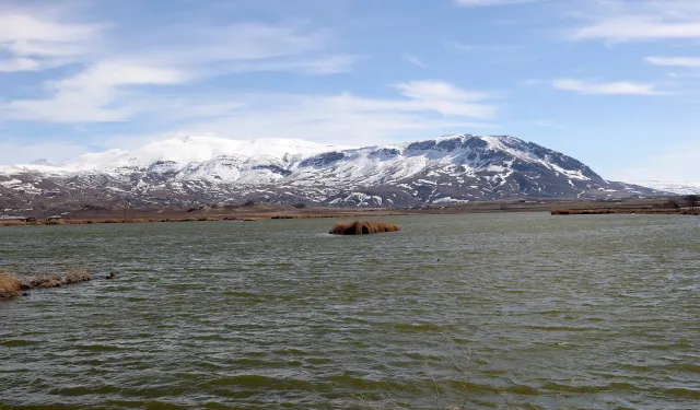 Eriyen Kar Suları, Sivas'taki Kuruma Tehlikesi Taşıyan Göle Can Suyu Oldu!