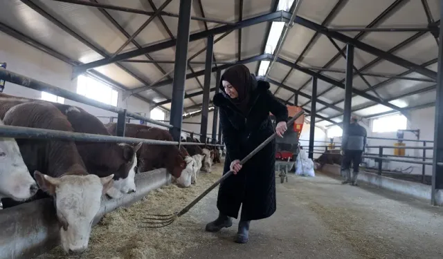 Sivas’ta Bir Kadının Üretim Mücadelesi: Bankacılığı Bıraktı, Hayaline Koşuyor