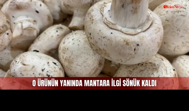 Sivas'taki İlgi Şampiyonunun Yanında Mantar Bile Sökük Kaldı!