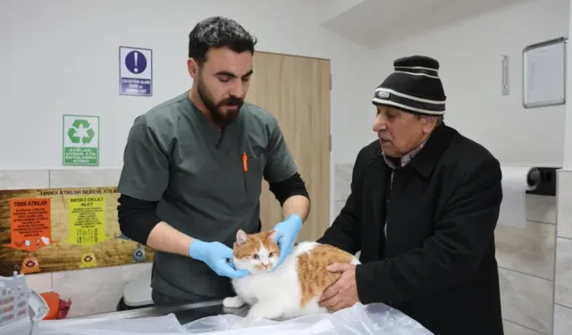 24 Saat Hizmet Veren Hastane 9 Bin 600 Hayvanı Sağlığına Kavuşturdu