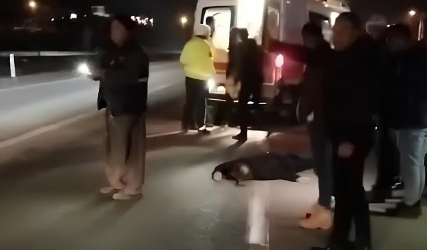 Taziyeye giderken minibüsün çarptığı bir kişi hayatını kaybetti