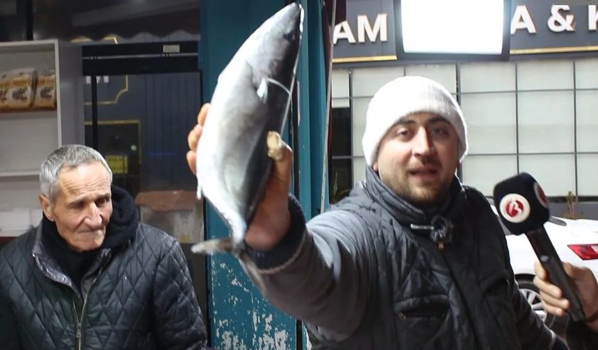 Hamsi, barbun bitti mi? Sivaslı balıkçıdan o açıklama