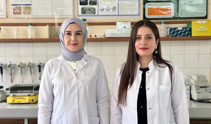Sivas CÜ'den kansere deva akademik katkı