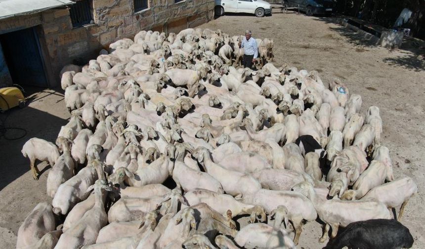 O Mesleğin Ustaları Sivas'ta  Zamana Karşı Yarışıyor