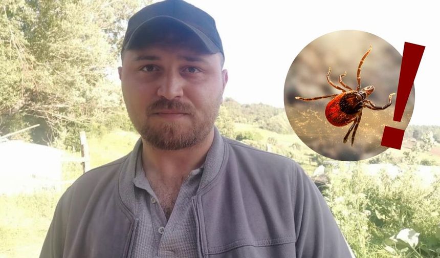 Keneler Köpekler Gibi Koku Mu alıyor? Sivas'ta O Anları Kayda Aldı!