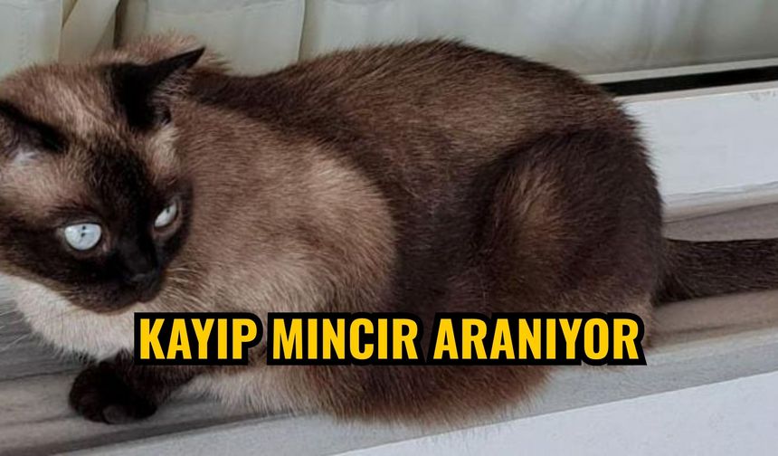 Kayıp Mıncır aranıyor