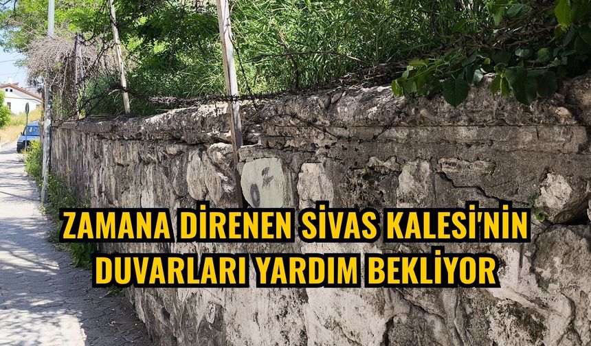 Zamana direnen Sivas Kalesi'nin duvarları yardım bekliyor