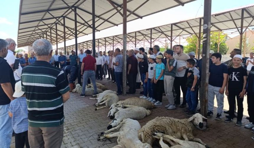 Kangallılar Yağmur Duasına Çıktı!