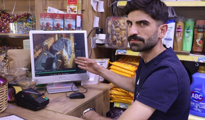 Sivas'ta kuruyemiş hırsızlığı
