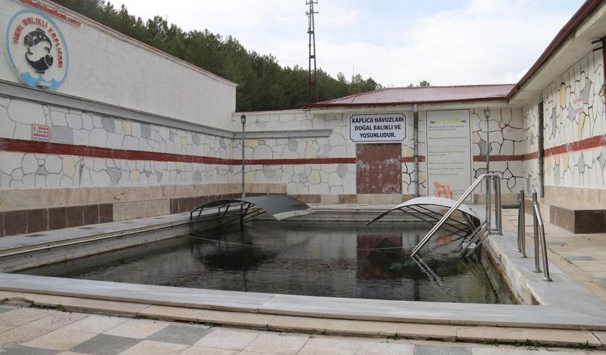 Şifacı balıklar mührün açılmasını bekliyor