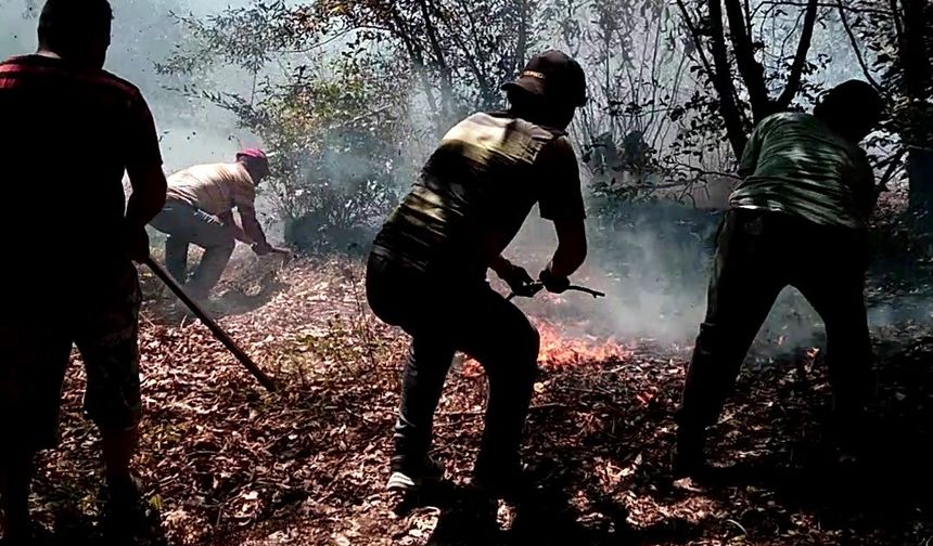 Ordu’da fındık bahçesi ve ormanlık alanda çıkan yangınlar söndürüldü