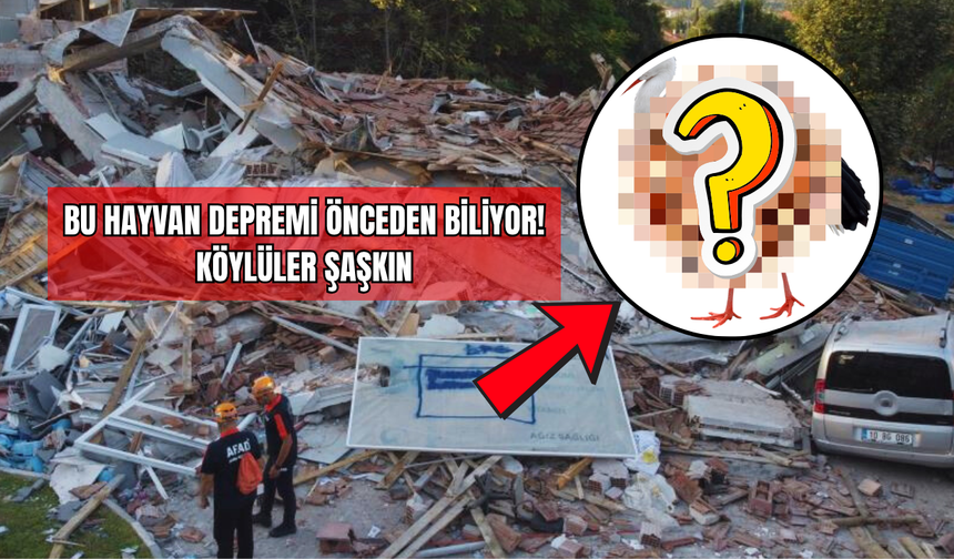 Bu Hayvan Depremi Önceden Biliyor! Köylüler Şaşkın