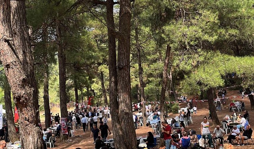 Bursa'da Günlerden Sivas