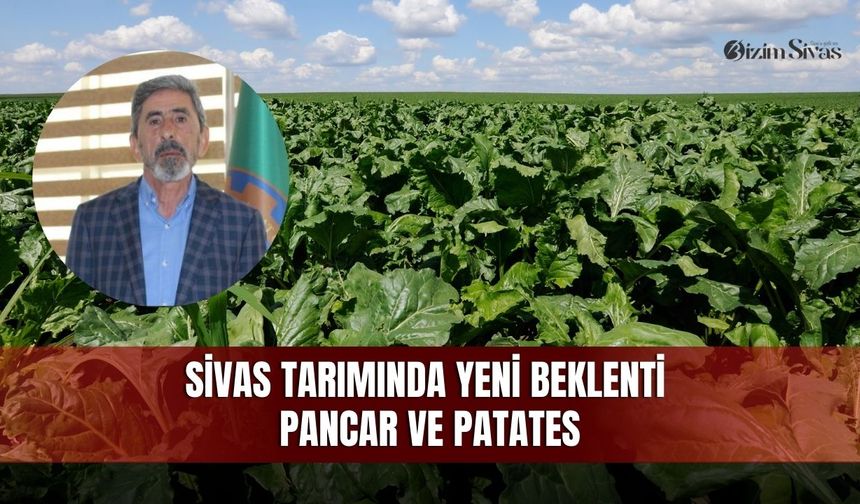 Sivas tarımında yeni beklenti: pancar ve patates