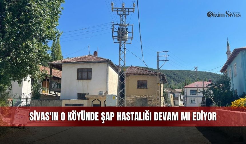 Sivas'ın o köyünde şap hastalığı devam mı ediyor