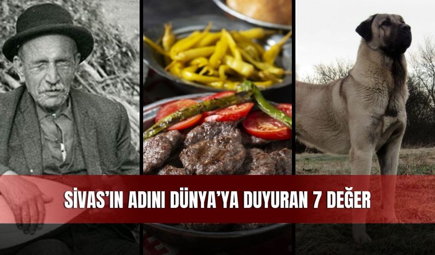Sivas’ın Adını Dünya’ya Duyuran 7 Değer