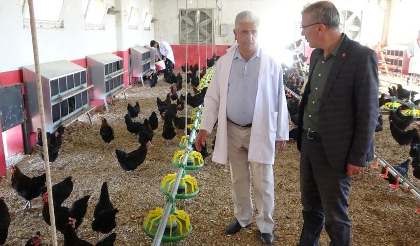 O Okulun Mezunları İş Bulma Sıkıntısı Yaşamıyor!