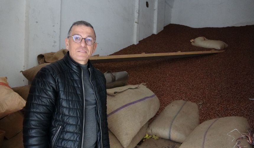 Ramazan Bayramı Öncesi Fındık Fiyatlarında Düşüş