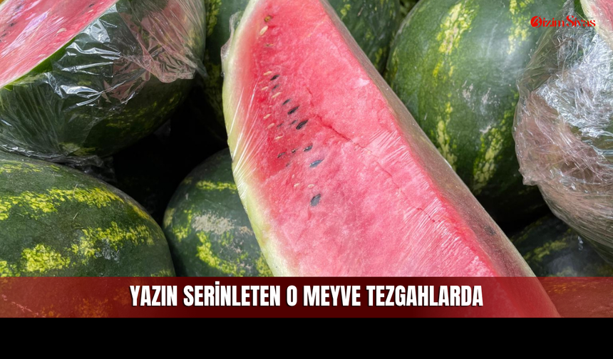 Güneşin Gelmesiyle Sivas’ta Karpuz Sezonu Açıldı