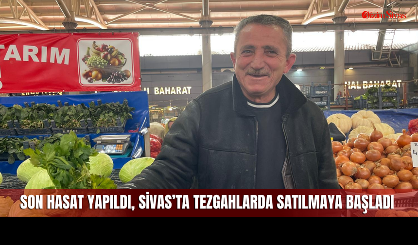 Sivaslılar sağlıklı beslenmede kerevize yöneliyor