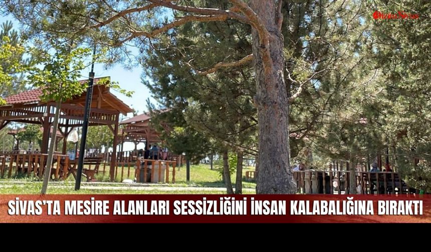 Sivas’ta Doğanın Sessizliği Yerini Kalabalığa Bıraktı