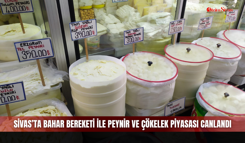 Sivas’ta bahar bereketi ile peynir ve çökelek piyasası canlandı