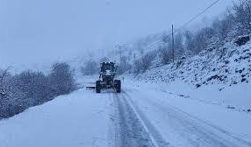 Mart Sürprizi! Sivas’ta Bahar Yerini Kara Bıraktı