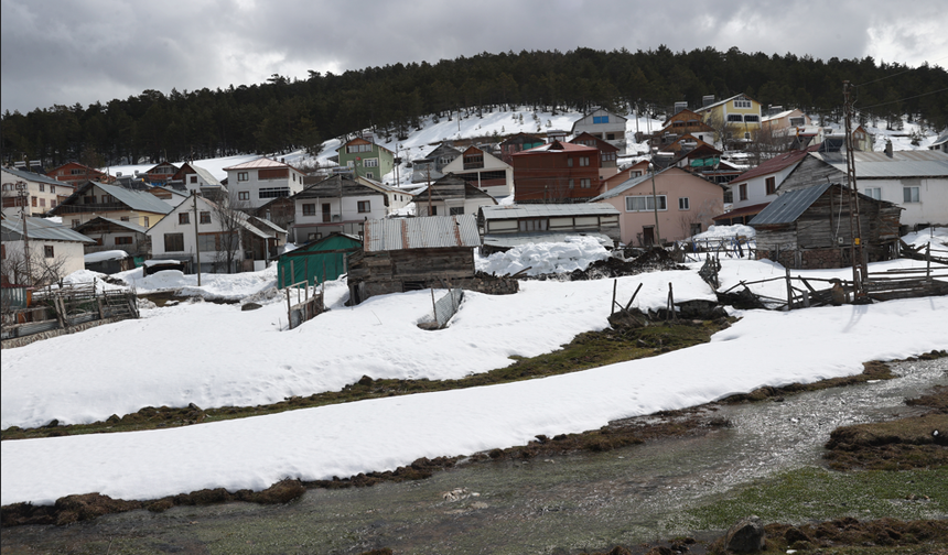 Sivas'ta Eğriçimen Yaylası Doğayla Yeniden Canlandı !