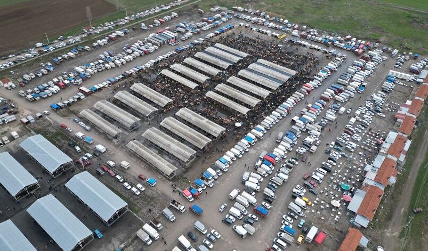 Sivas’ta Kurban Pazarı Hareketlendi: Fiyatlar Dikkat Çekiyor