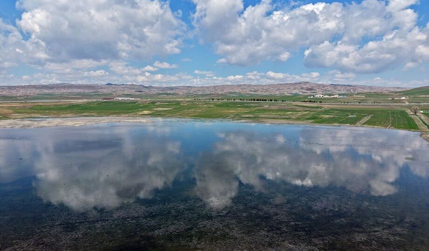 Hafik’te Doğa Yeniden Sahneye Çıktı: Yıllar Sonra Taştı