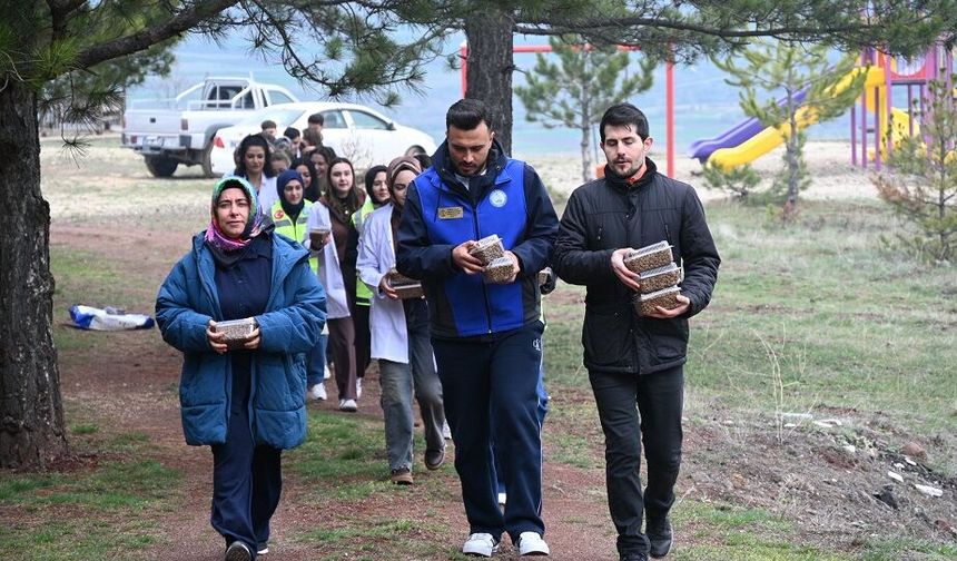 Sivas'ta Bir Avuç Mama, Bir Yudum Hayat