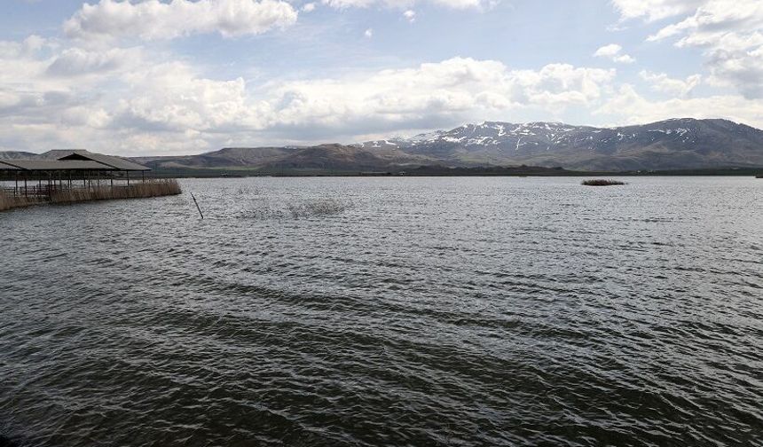 Sivas’taki gölde şaşırtan dönüşüm