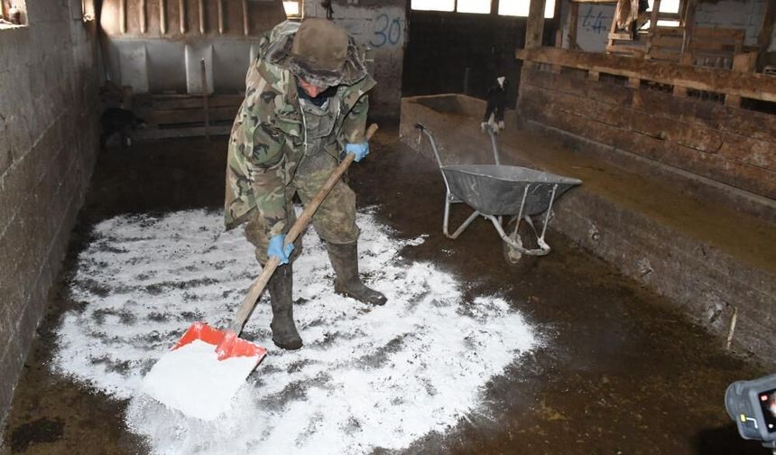 Yozgatlı Çiftçi Hayvan Ölümlerini Bu Yöntemle Durdurdu!