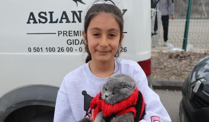 Yeşil Sahaların En İlginç Misafiri! Görenler Gözlerine İnanamadı!