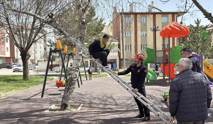 Sivas’ta parkta ağaca çıkan çocuk için itfaiye seferber oldu