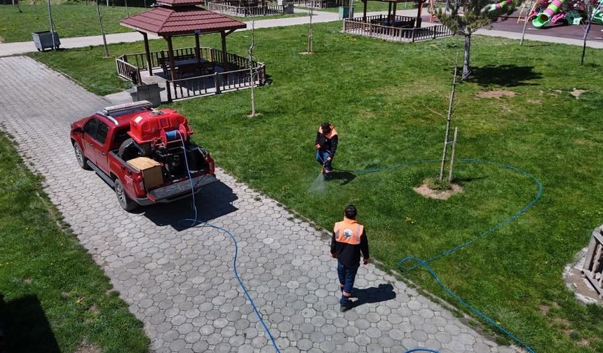 Sivas’ta kenelere karşı havadan ve karadan mücadele