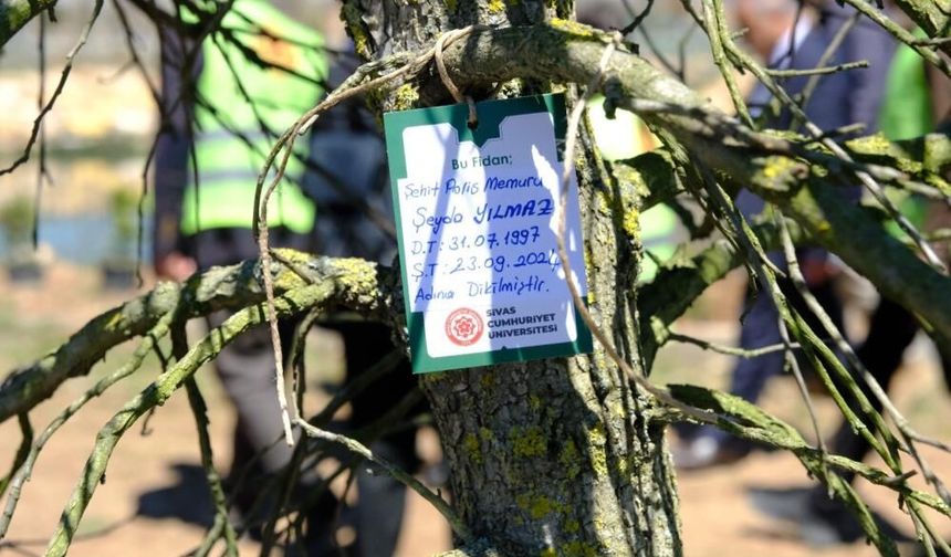 Sivas'ta Şehitlerin Adı Bu Kez Fidanlarda Yaşayacak