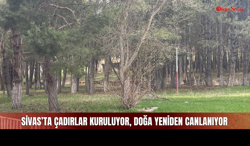 Sivas'ta Soğuk Günlerin Ardından Kamp Sezonu Başladı