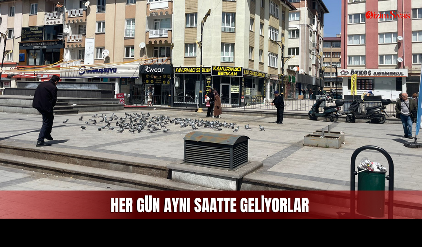 Fotoğraf Çeken de Var, Yem Getiren de