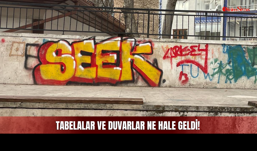 Sivas'ta O Görüntüler Saç Baş Yoldurdu