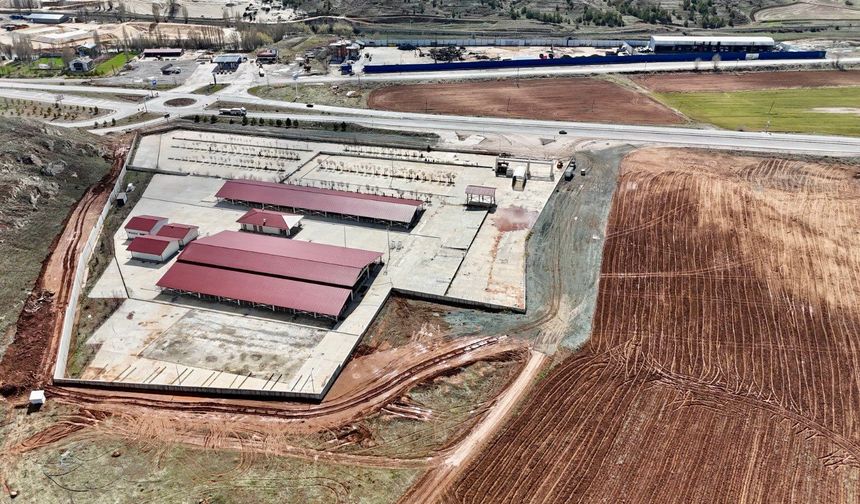 Kurban Bayramı Öncesi Sivas’ta Pazarda Yoğun Mesai